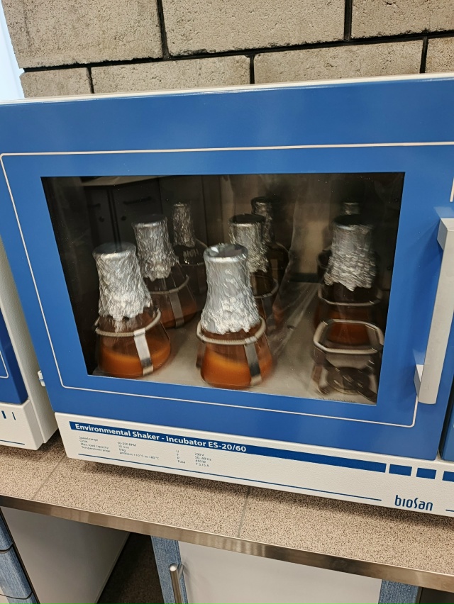 декабрь 26-1 (6).jpg