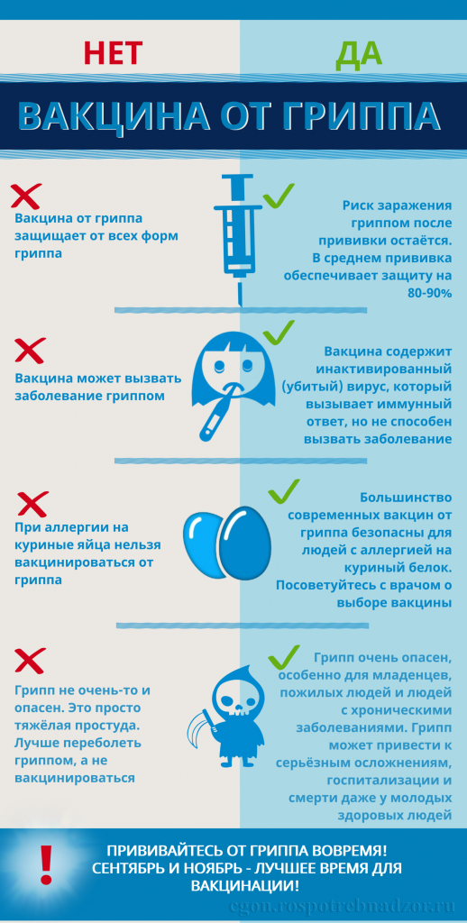 вакцина от гриппа.png